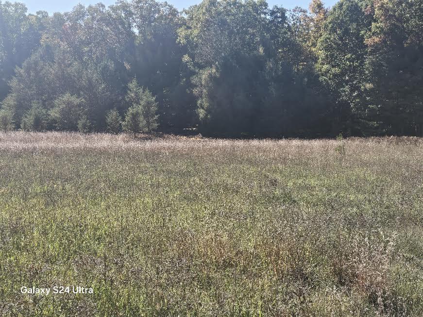 0 North 11 Mile Road Irons, MI 49644 - Photo 3 of 17 20