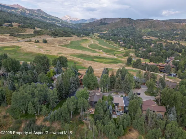 an aerial view of residential houses with outdoor space and trees