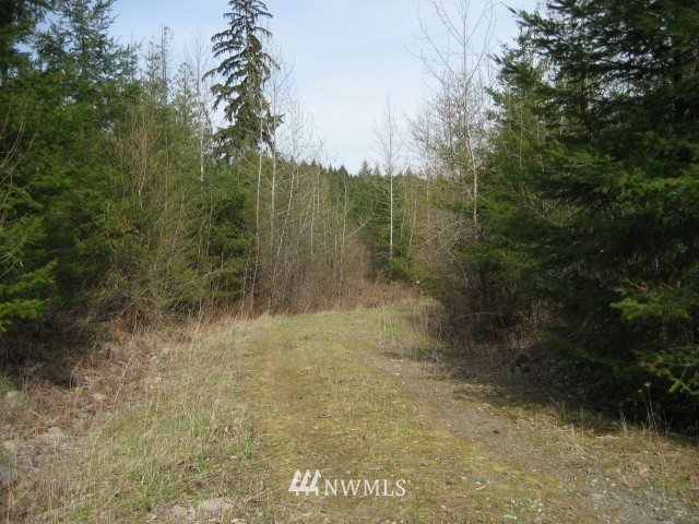 111 Tanwax Road South Roy, WA 98580 - Photo 2 of 9 Gallery Image 2