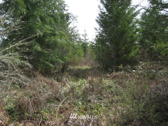 111 Tanwax Road South Roy, WA 98580 - Photo 7 of 9 Gallery Image 7