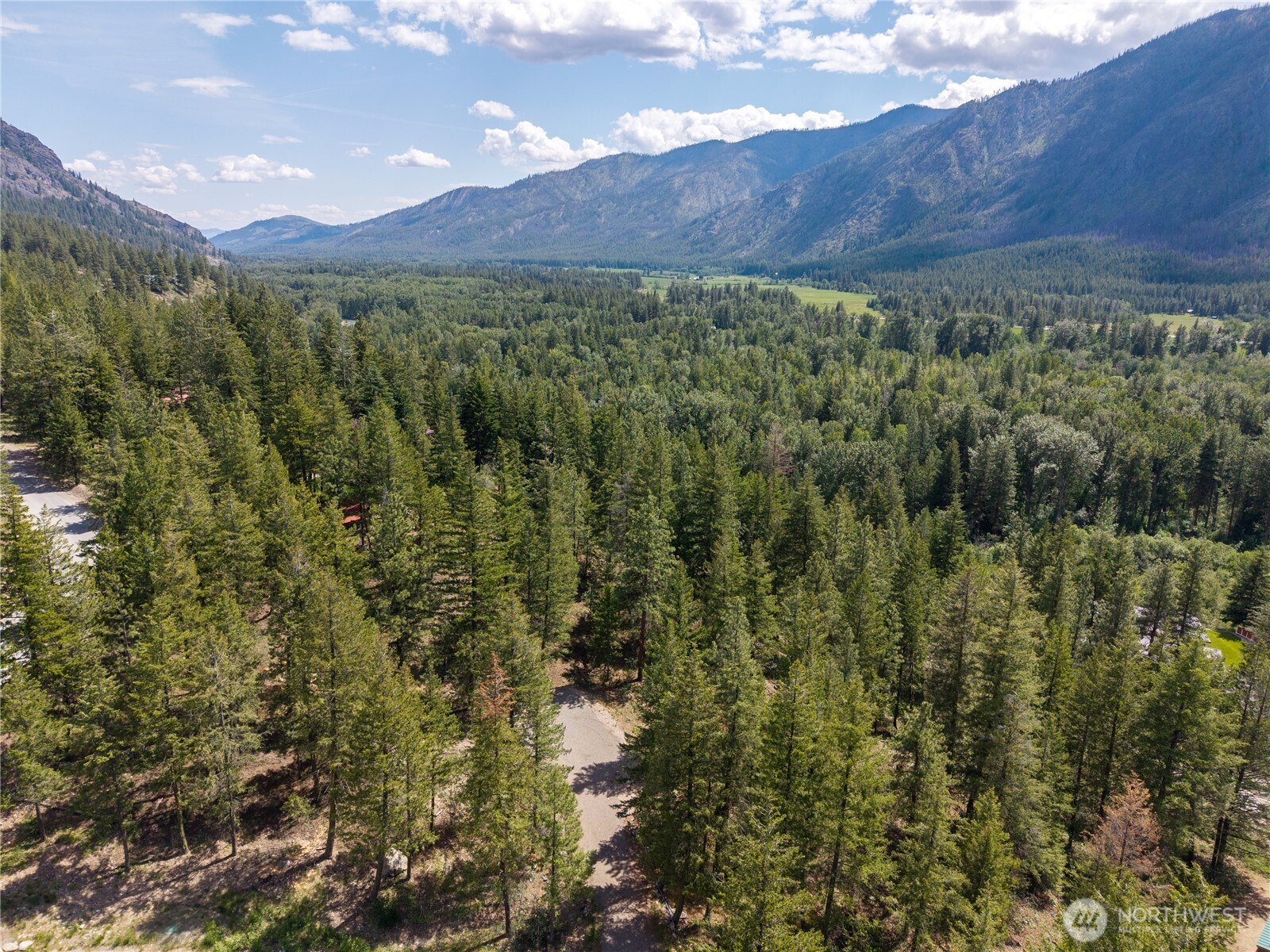 6 Homestead Road Winthrop, WA 98862 - Photo 29 of 40 a view of a lush green forest with mountains in the background