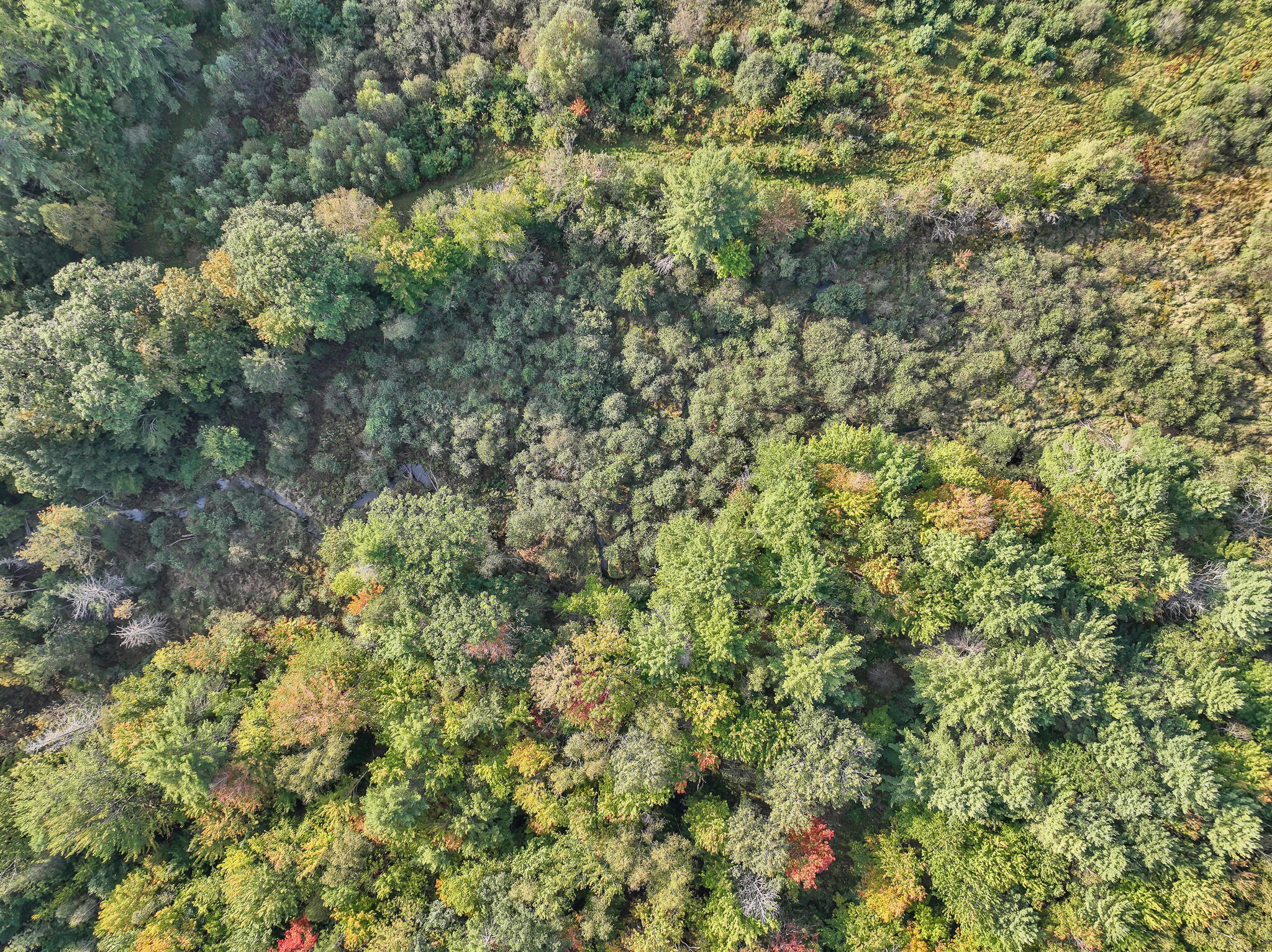 587 Common Road Dixfield, ME 04224 - Photo 28 of 32 DJI_0027