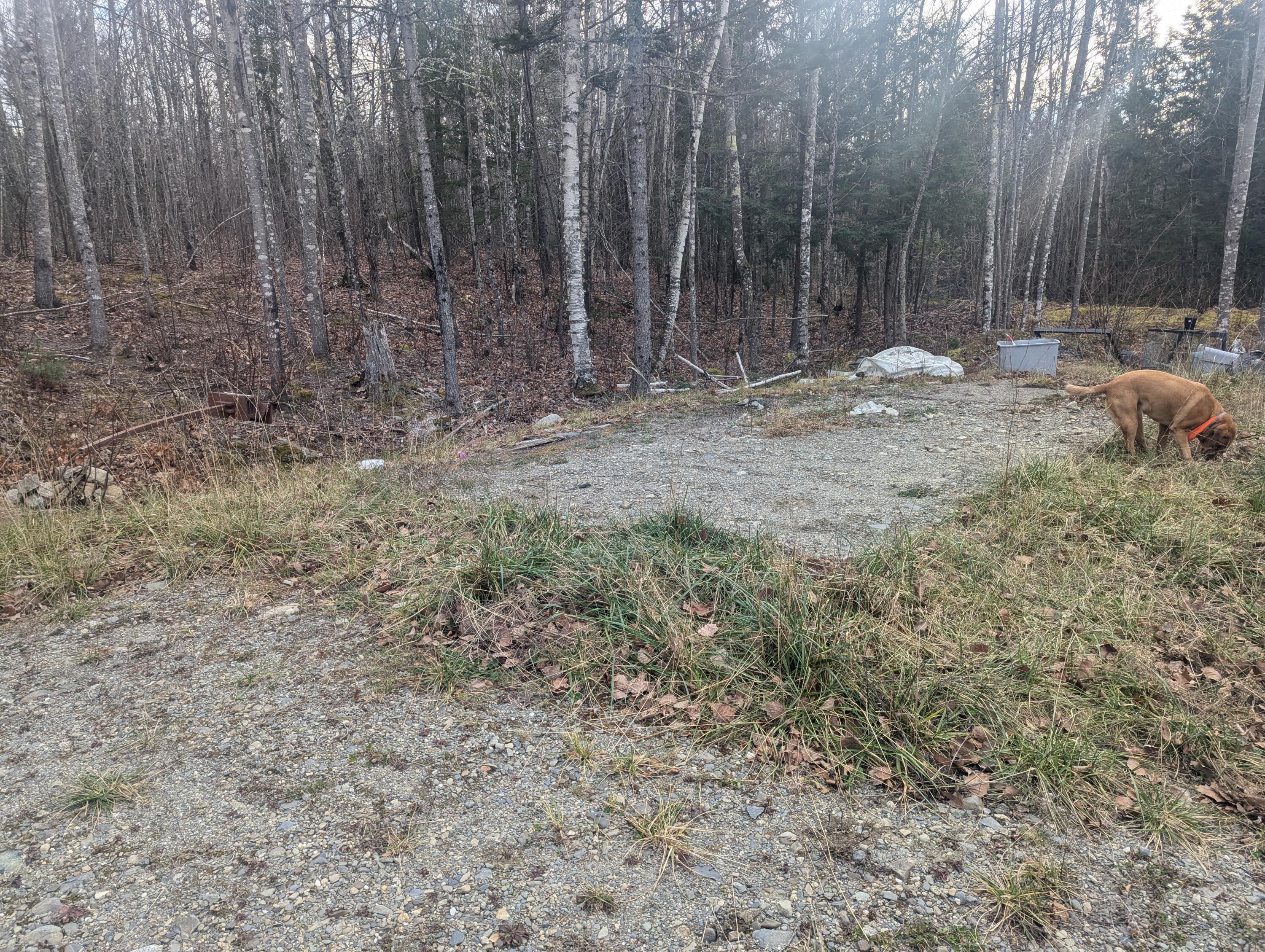 Lot 5 Kennard Road Newburgh, ME 04444 - Photo 7 of 9 PXL_20241118_185205026