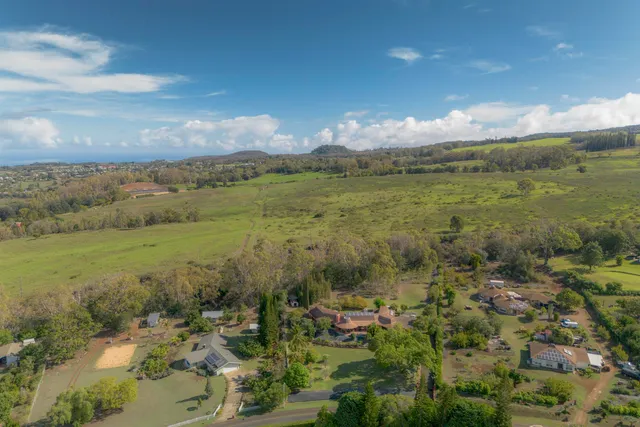 a view of a city with lots of trees