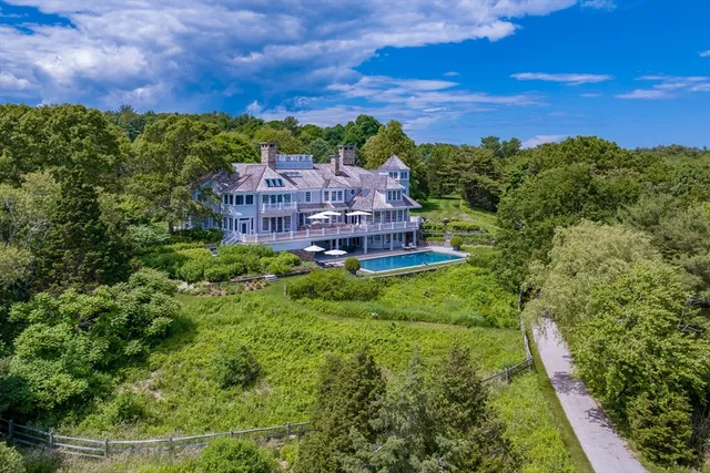 a view of a city with flower plants in front of it
