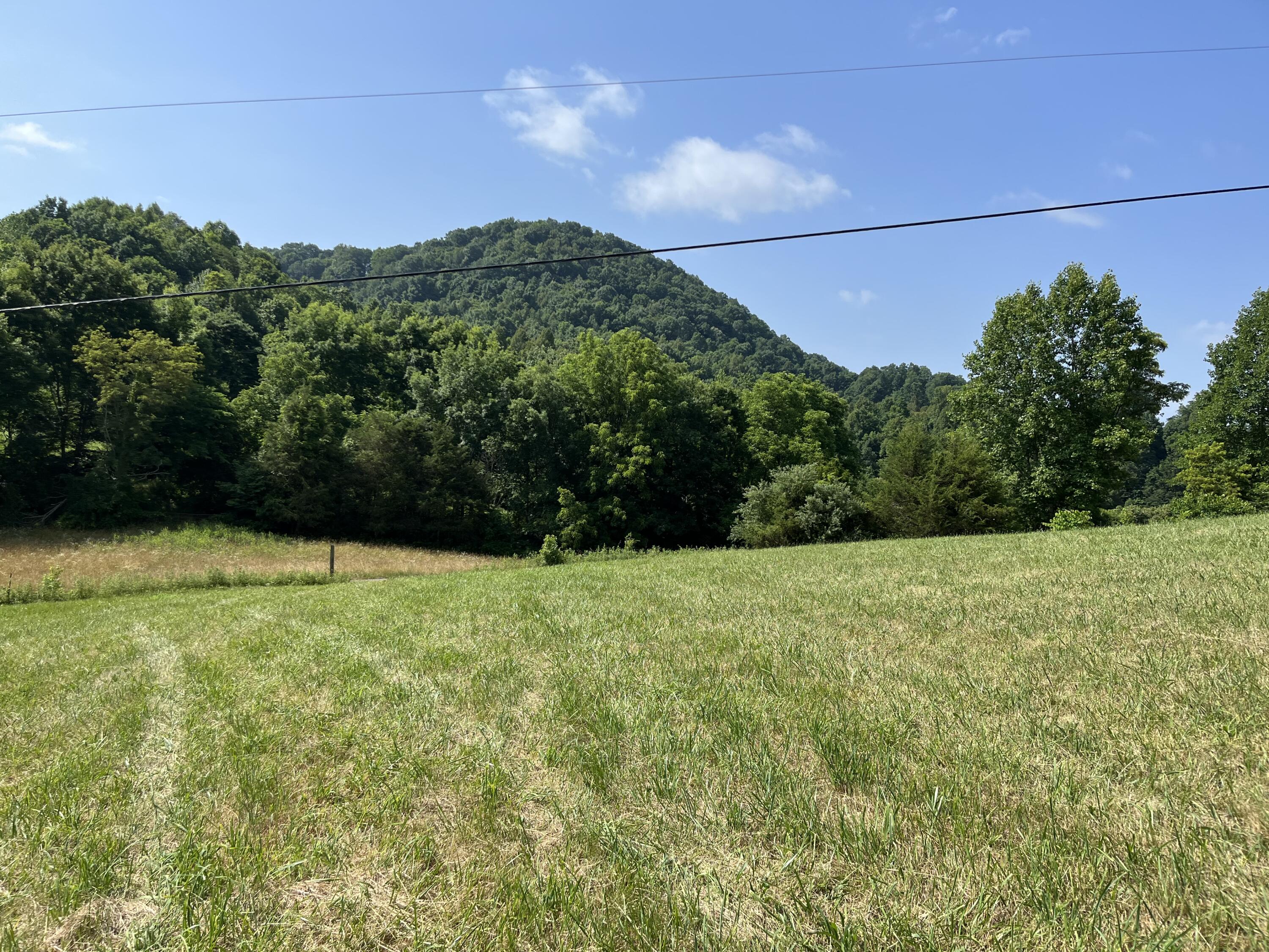 Tbd Goode Hollow Road Duffield, VA 24244 - Photo 6 of 23 IMG_2739