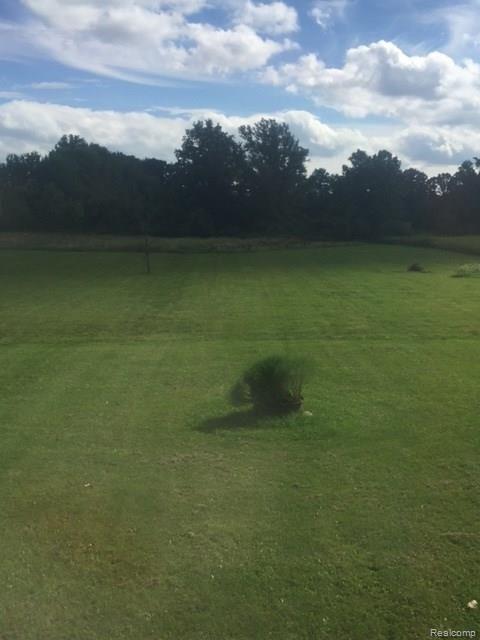 10755 Fisher Road Yale, MI 48097 - Photo 13 of 13 IMG_1732.JPG