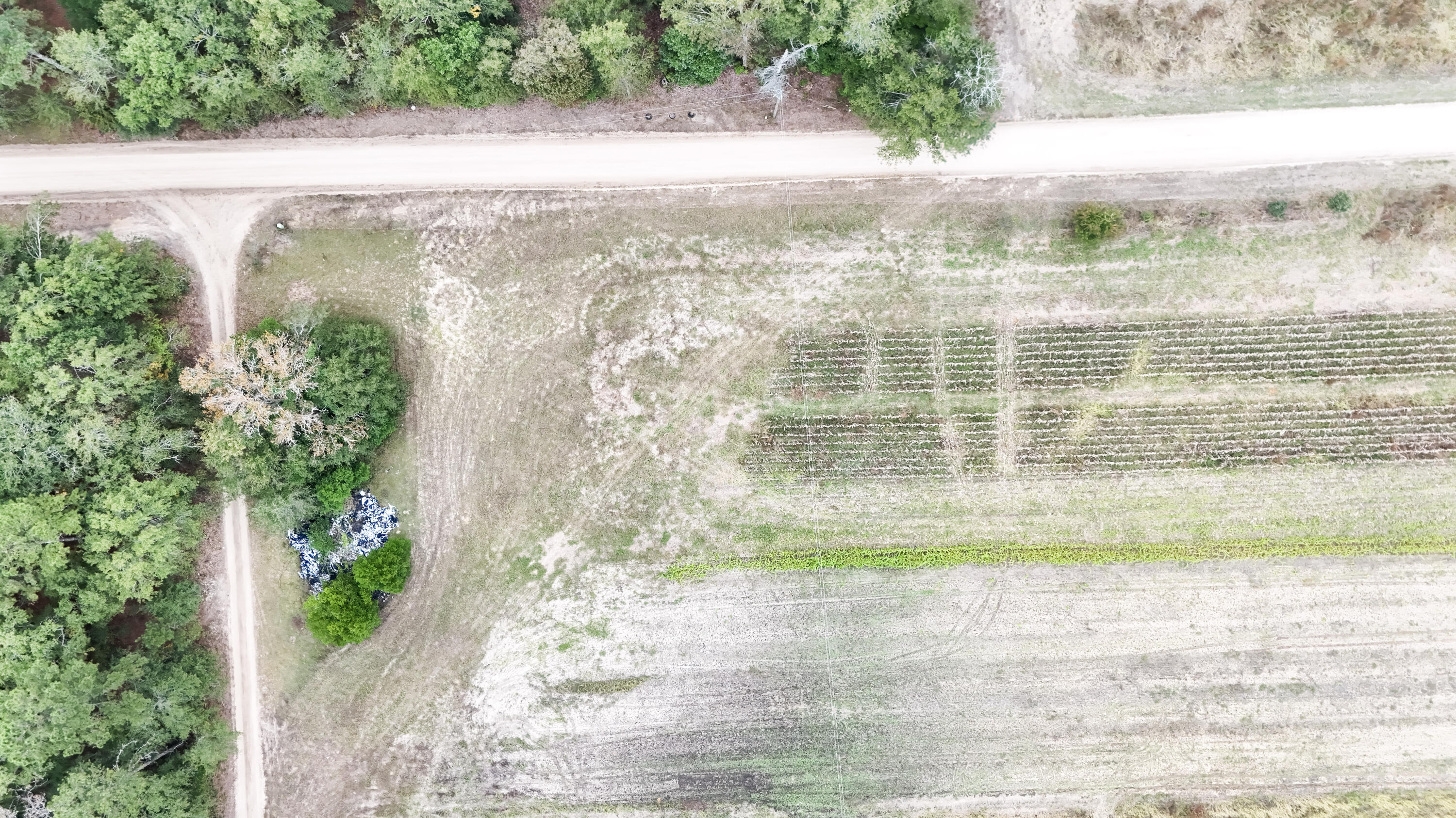 0 Chavis Road Blackville, SC 29817 - Photo 7 of 22 23-DJI_20251031045739_0249_D