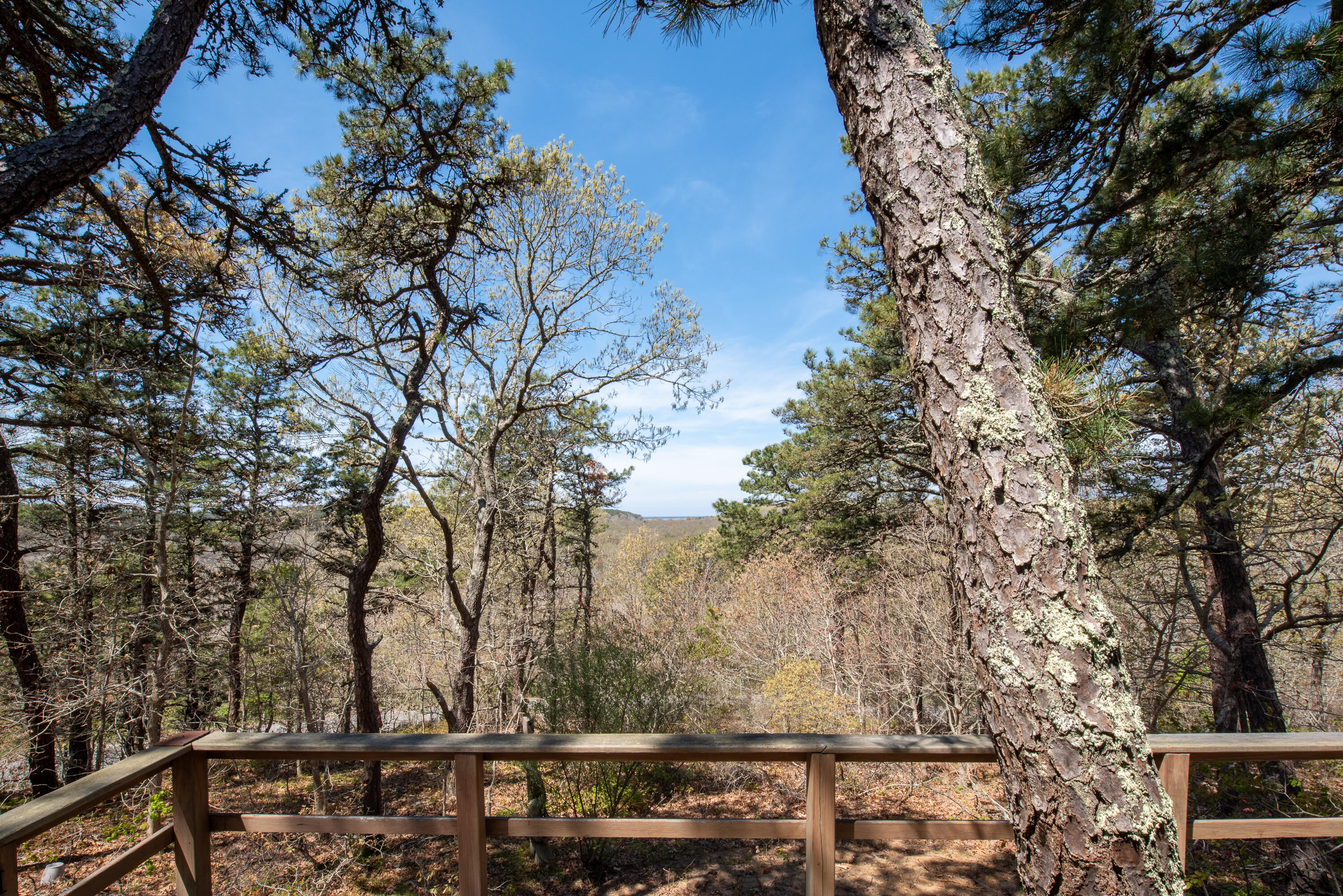 1162 Browns Neck Road Wellfleet, MA 02667 - Photo 2 of 30 a view of mountain view with large trees