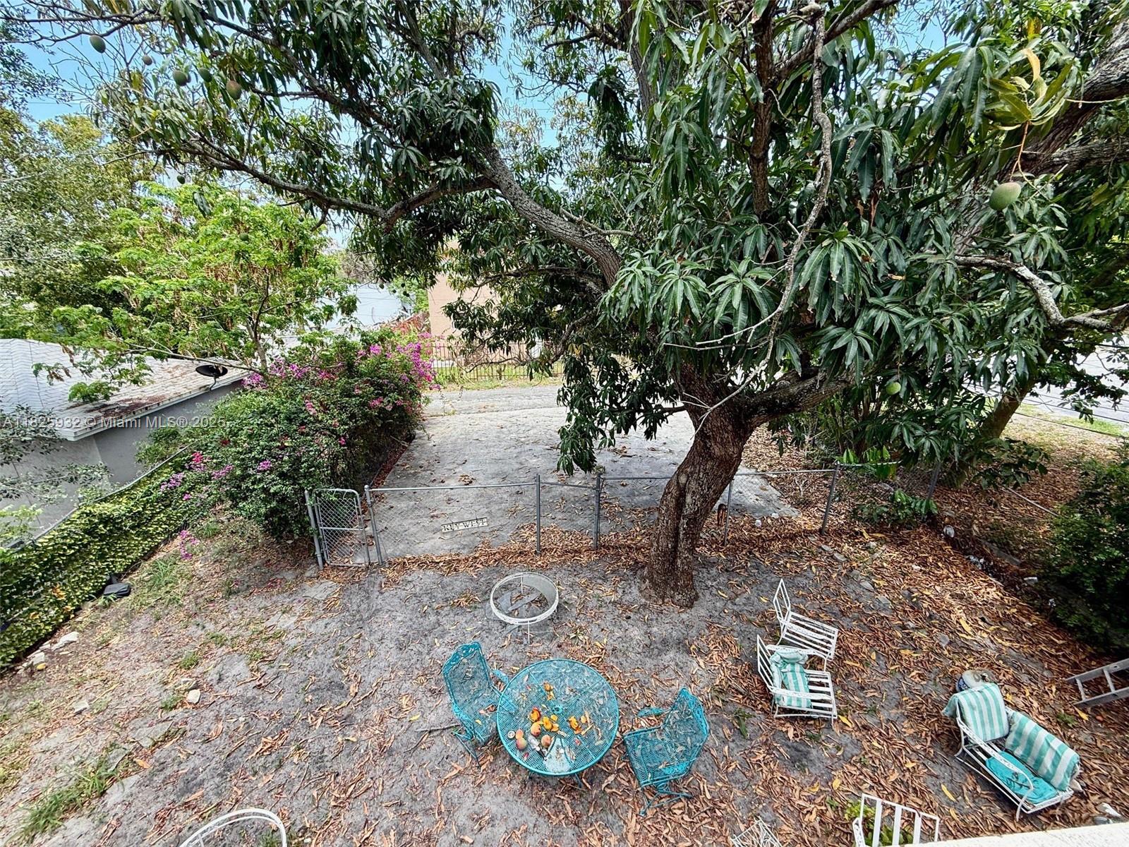 706 9th Street, Unit 2 West Palm Beach, FL 33401 - Photo 9 of 9 a backyard of a house with lots of green space