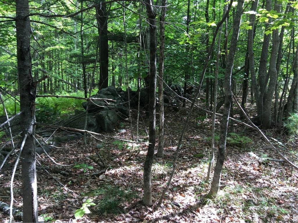 0 Thundercastle Road Readfield, ME 04355 - Photo 11 of 22 Photo