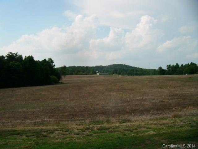8060 Palm Tree Church Road Vale, NC 28168 - Photo 6 of 13