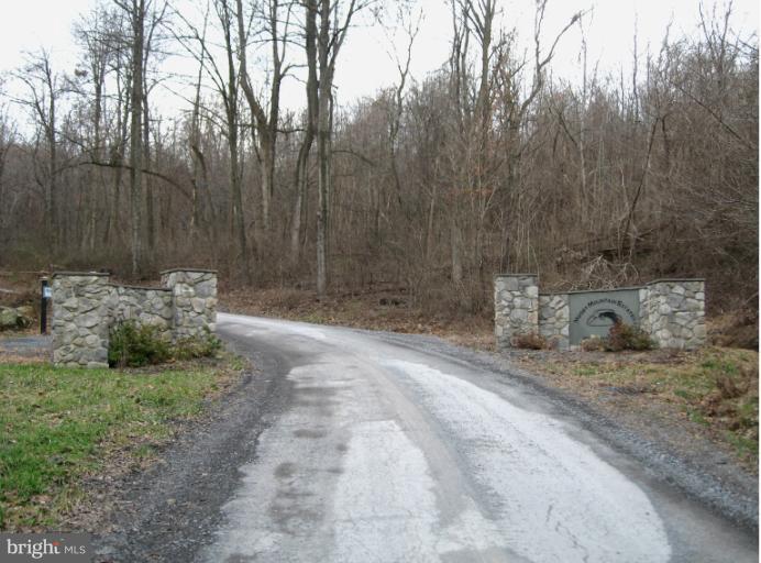 25 Mosby Springs Road Linden, VA 22642 - Photo 4 of 4 a view of backyard with trees