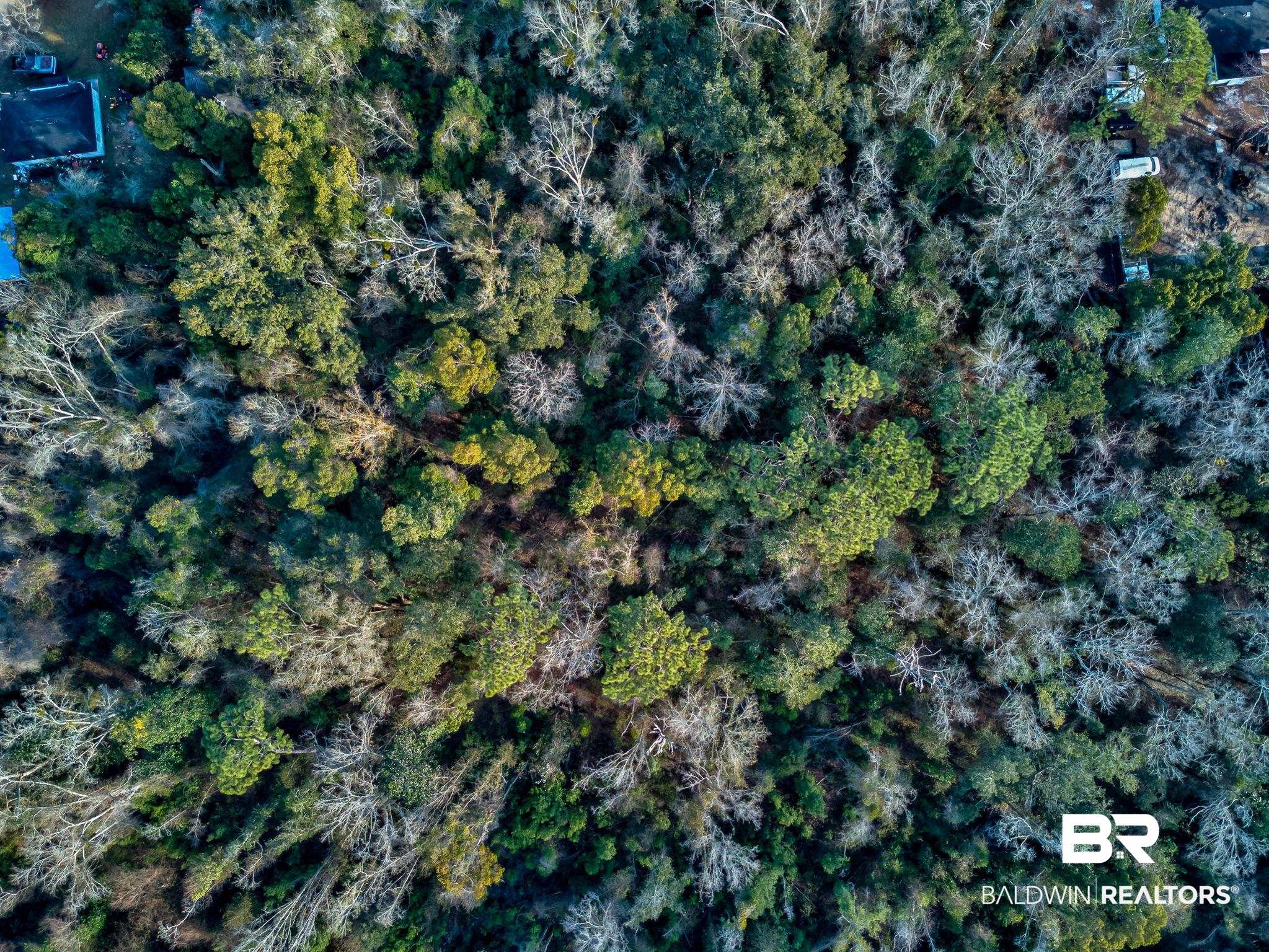 East Azalea Avenue Foley, AL 36535 - Photo 12 of 20