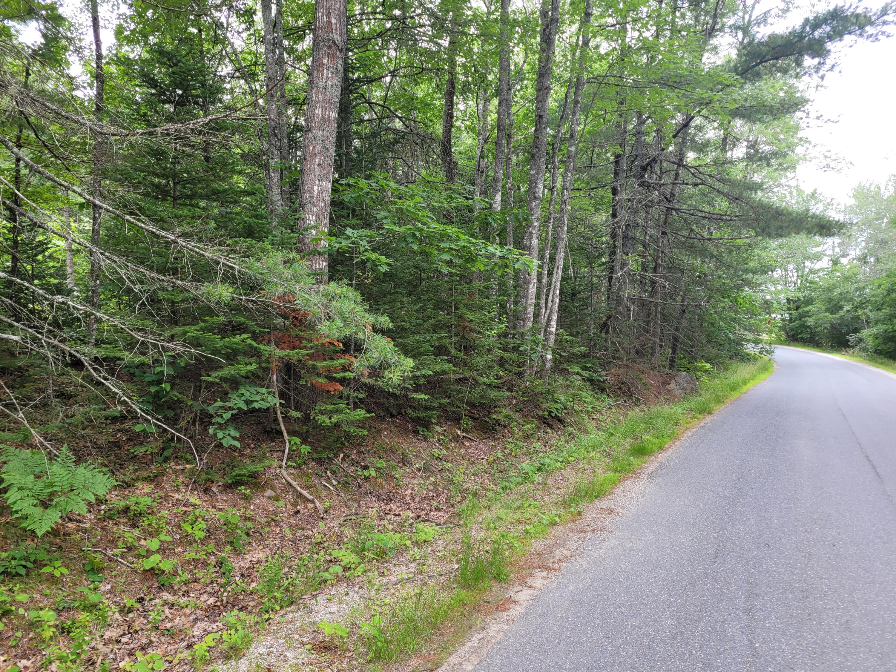 Lot 2 Goodwin Road Franklin, ME 04634 - Photo 6 of 6 20210708_104642