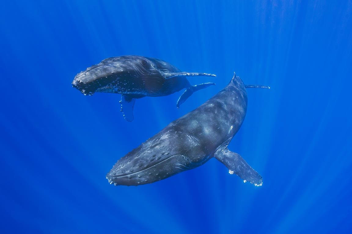 122 Ulua Road Kaunakakai, HI 96748 - Photo 11 of 48 a view of entryway