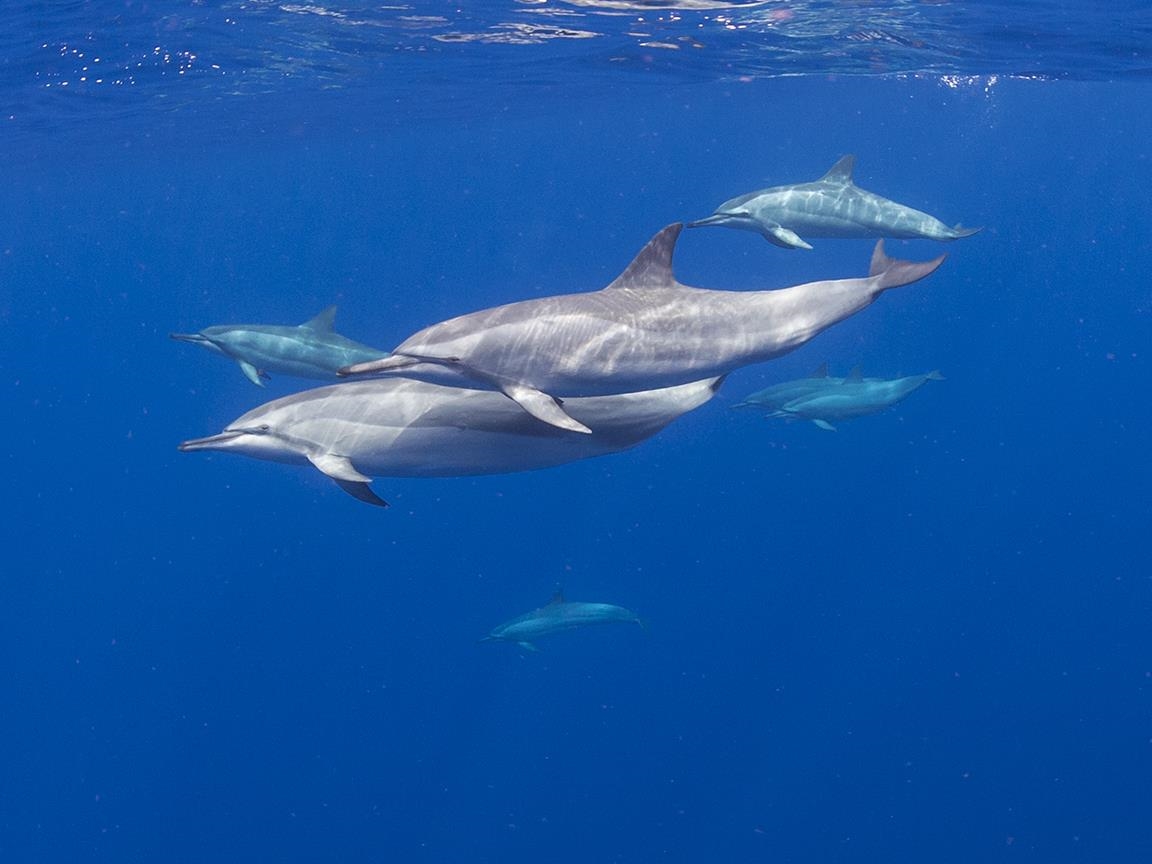 122 Ulua Road Kaunakakai, HI 96748 - Photo 18 of 48