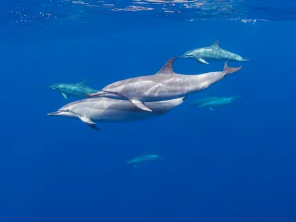 a view of a lake view