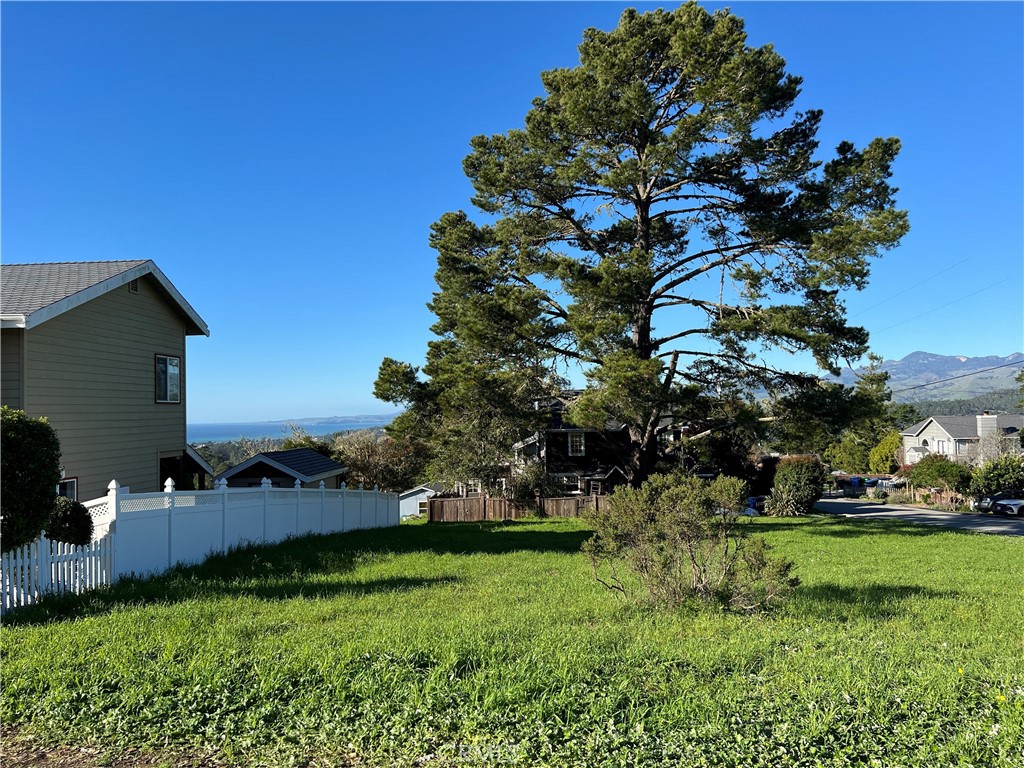 1815 Stuart Street Cambria, CA 93428 - Photo 11 of 14 a view of yard with swimming pool and green space