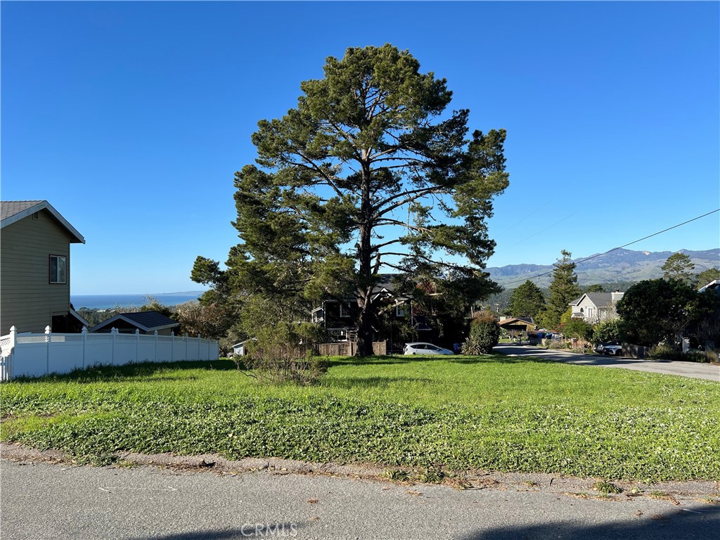 1815 Stuart Street Cambria, CA 93428 - Photo 8 of 14 a view of a park with large trees