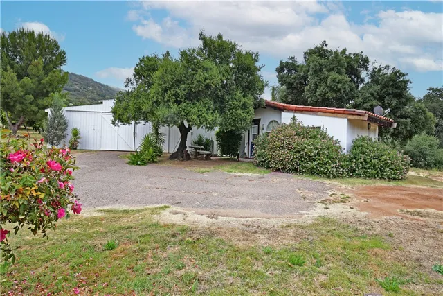 a view of a dry yard with large trees