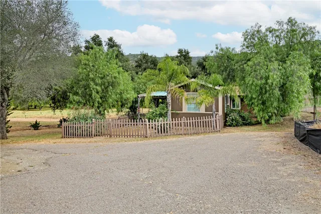 a close up of a plant in a pot
