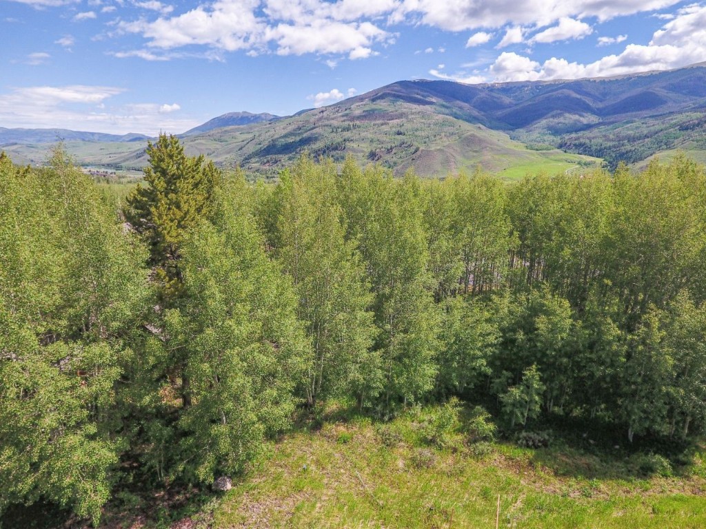 2180 Currant Way Silverthorne, CO 80498 - Photo 2 of 7 a view of a city with lush green forest