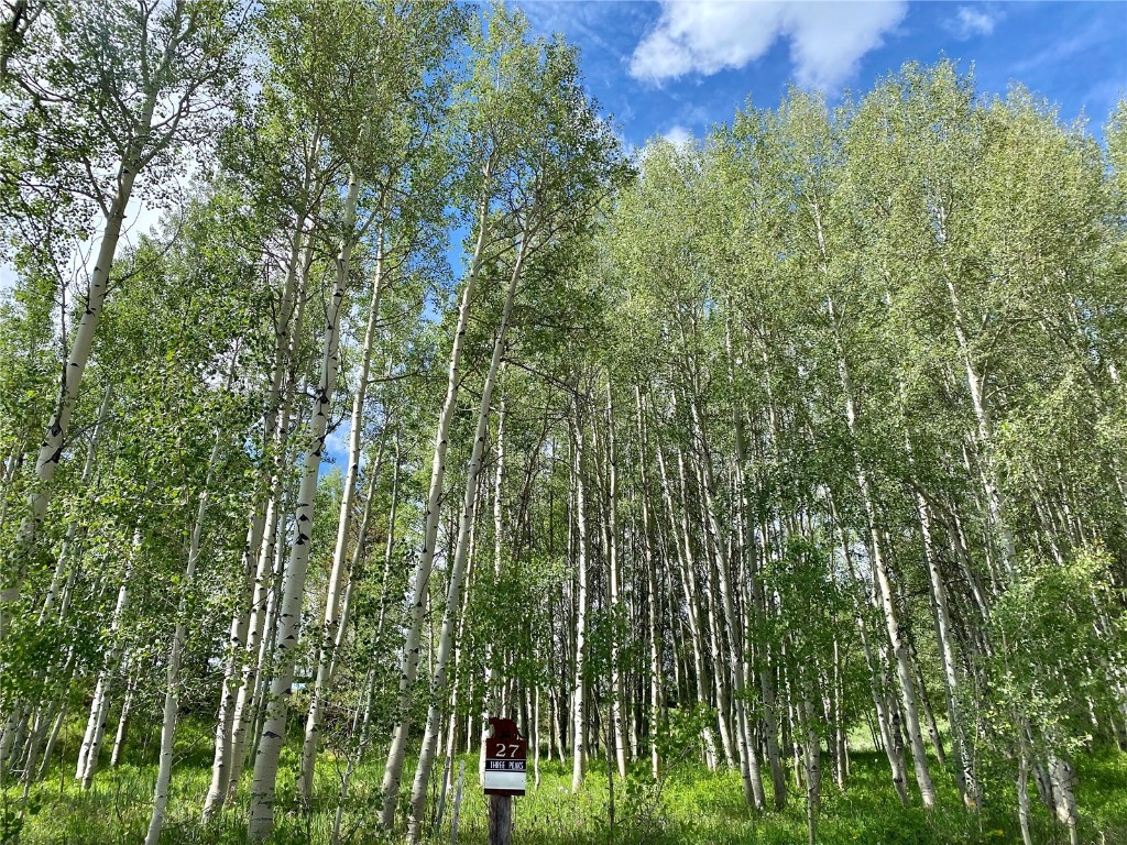 2180 Currant Way Silverthorne, CO 80498 - Photo 3 of 7 a view of a garden