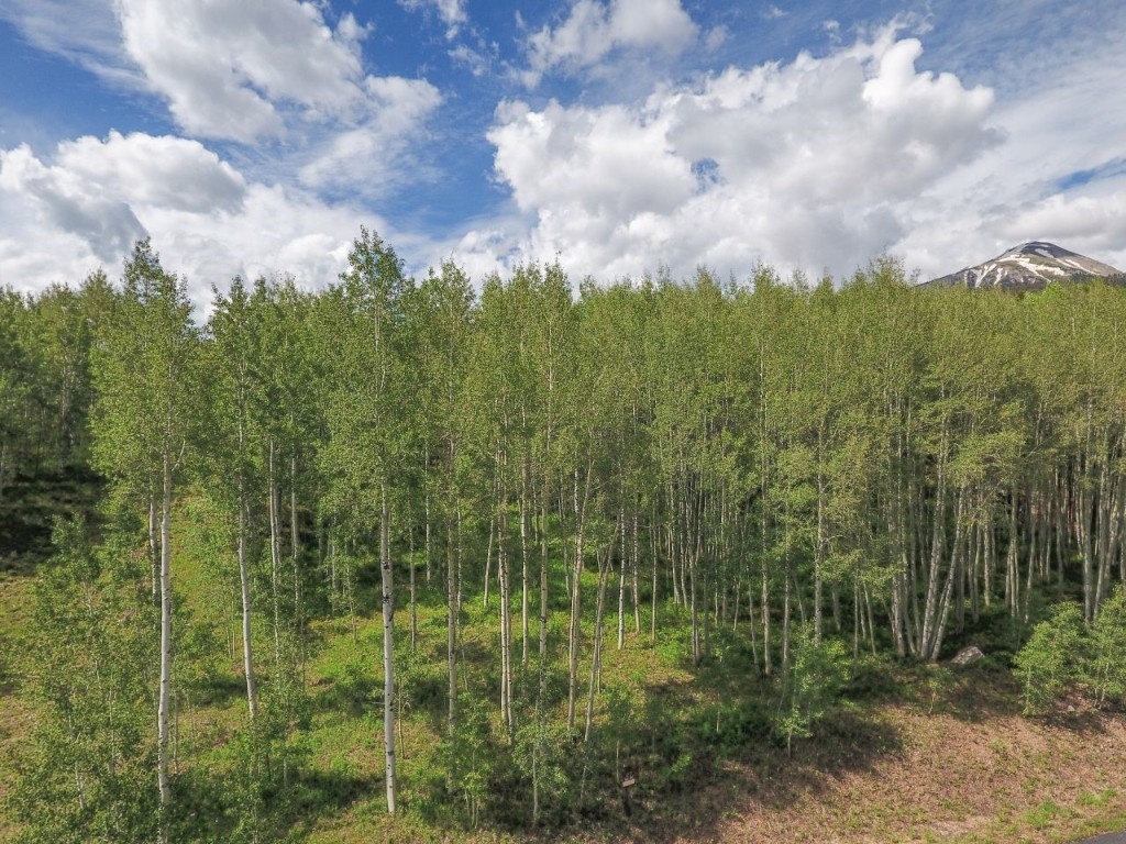 2180 Currant Way Silverthorne, CO 80498 - Photo 4 of 7 a view of a green field with lots of trees