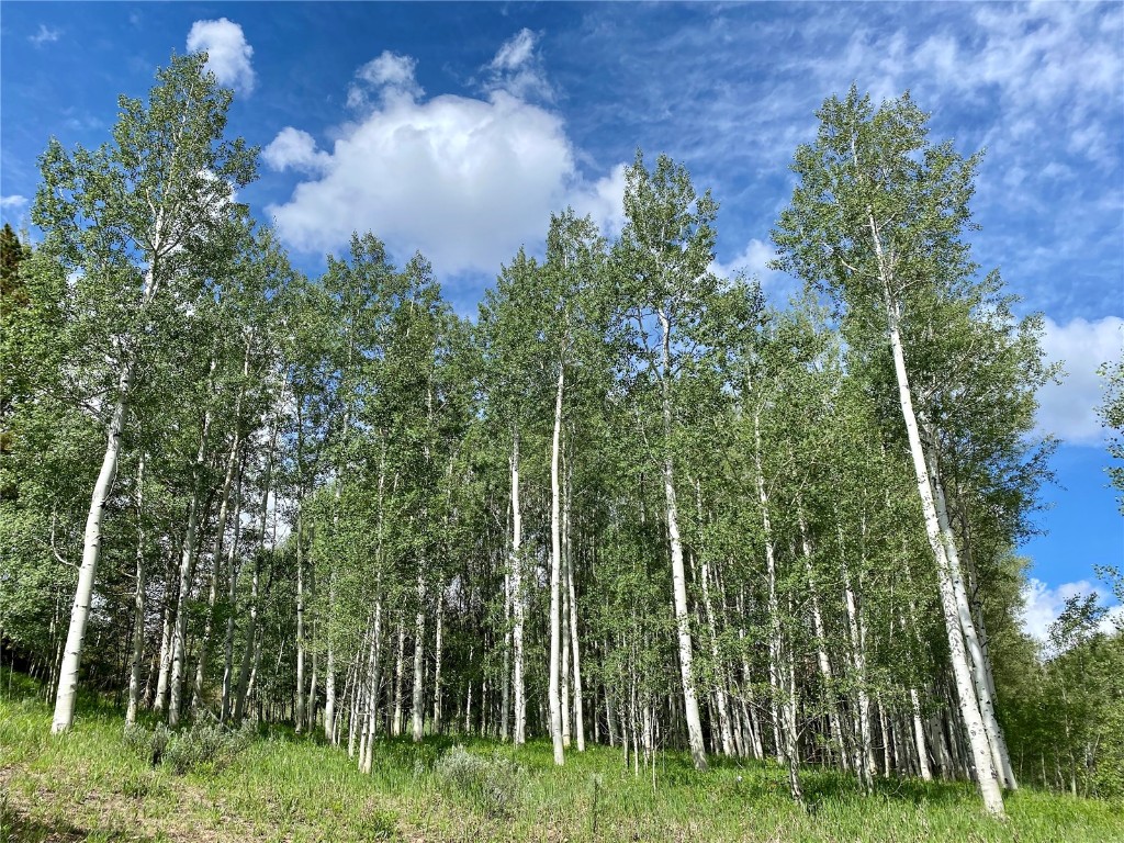 2180 Currant Way Silverthorne, CO 80498 - Photo 6 of 7 a backyard of a house with lots of green space