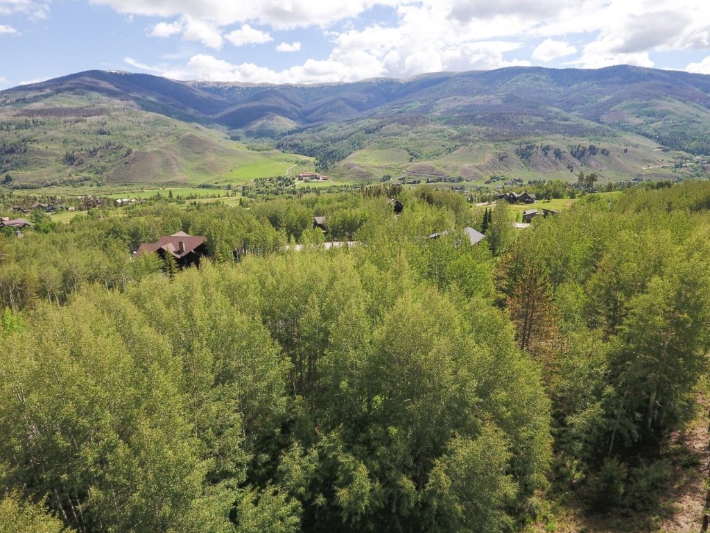 2180 Currant Way Silverthorne, CO 80498 - Photo 7 of 7 a view of a lush green hillside and a houses