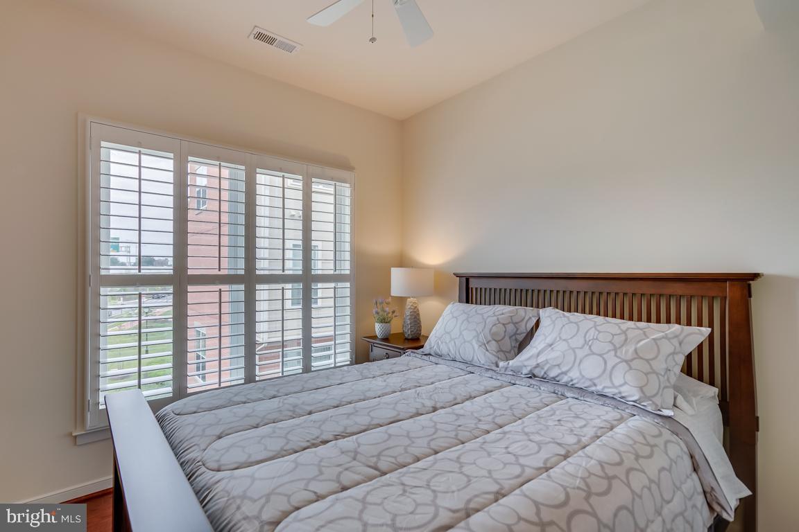 800 3rd Street Southeast Washington, DC 20003 - Photo 20 of 49 Second Bedroom
