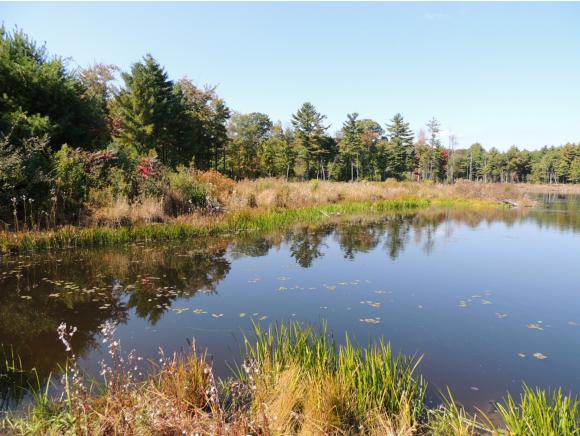 Lot # Stackpole Road Somersworth, NH 03878 - Photo 5 of 24 Gallery Image 5