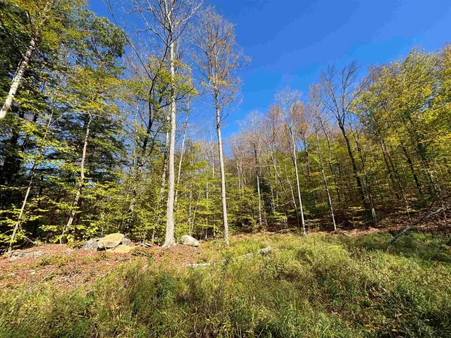 $229,000 | 0 Quarry Road, Chester, VT 05143