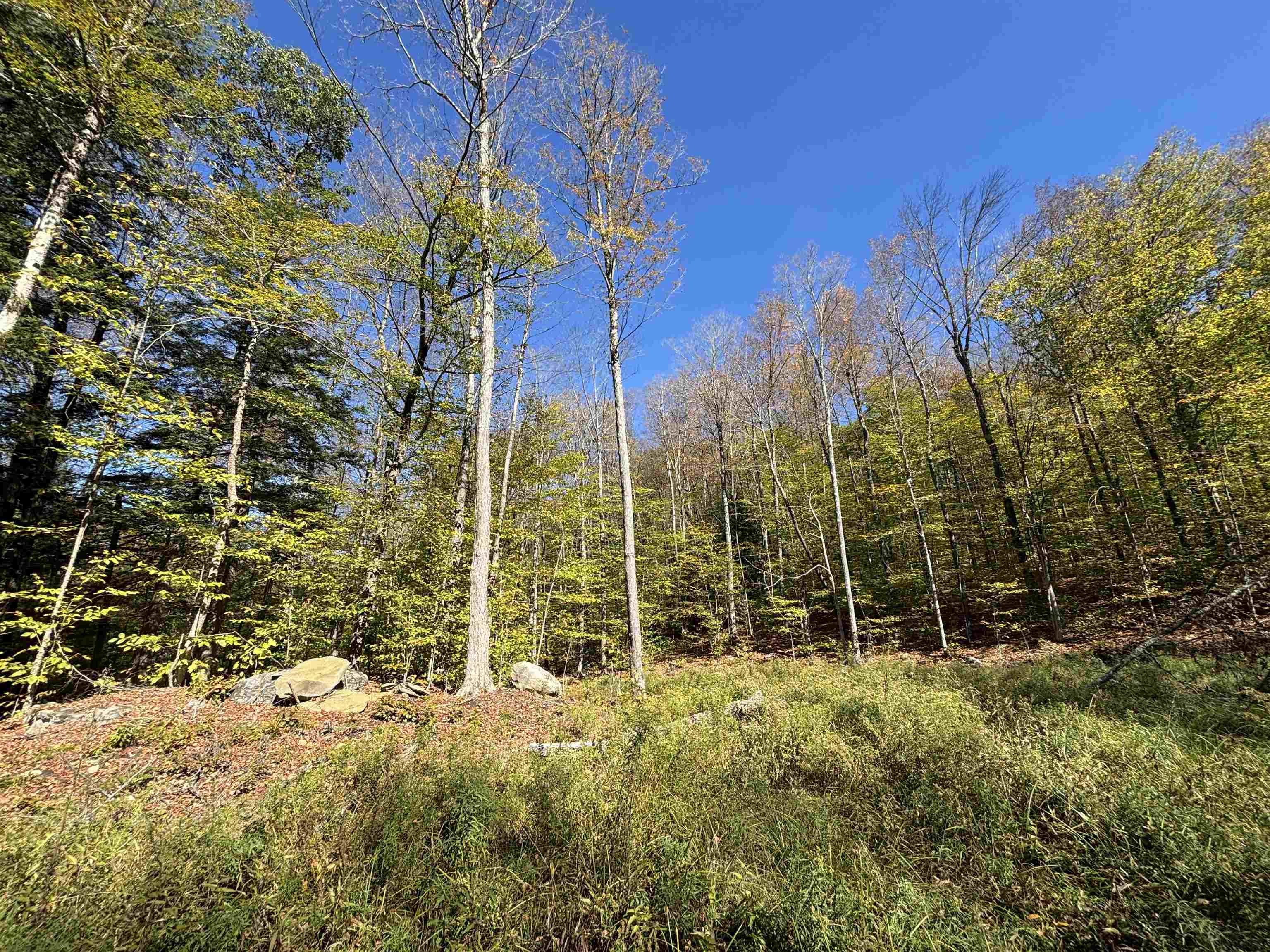 0 Quarry Road Chester, VT 05143 - Photo 14 of 25