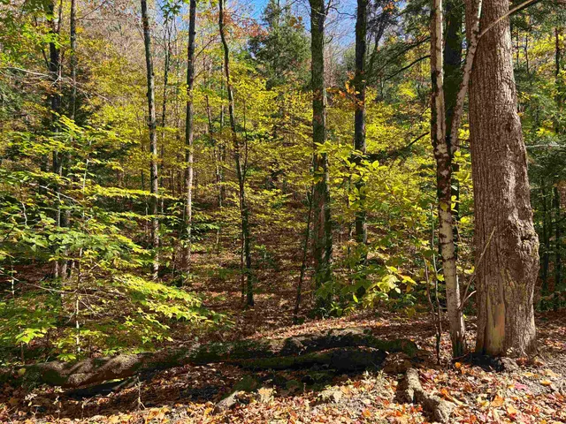 $229,000 | 0 Quarry Road, Chester, VT 05143