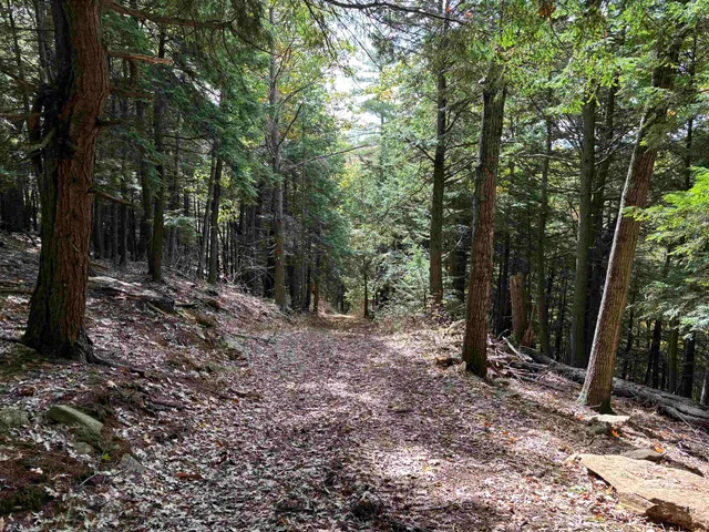 $229,000 | 0 Quarry Road, Chester, VT 05143