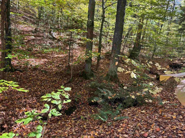 $229,000 | 0 Quarry Road, Chester, VT 05143