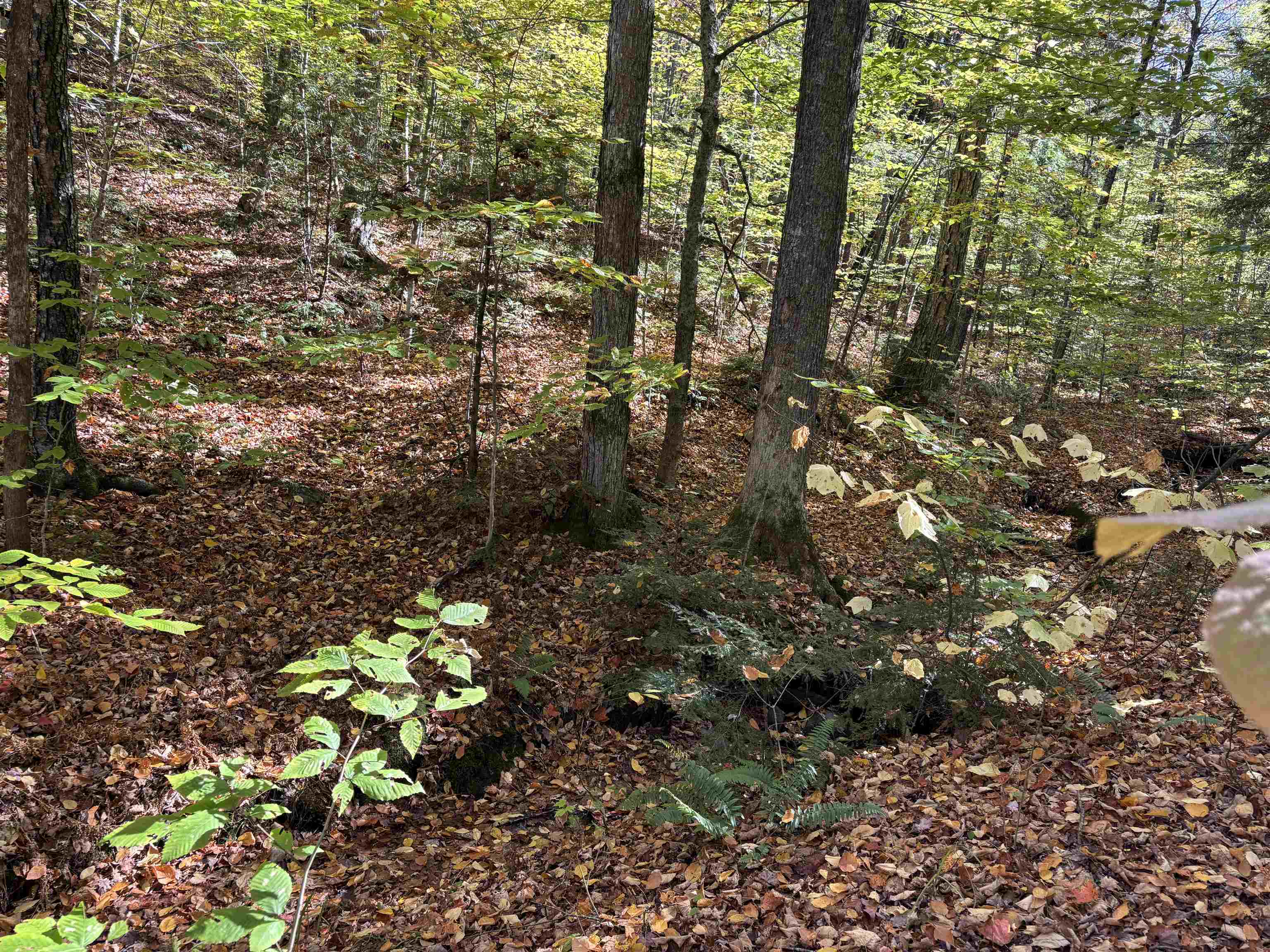 0 Quarry Road Chester, VT 05143 - Photo 20 of 25