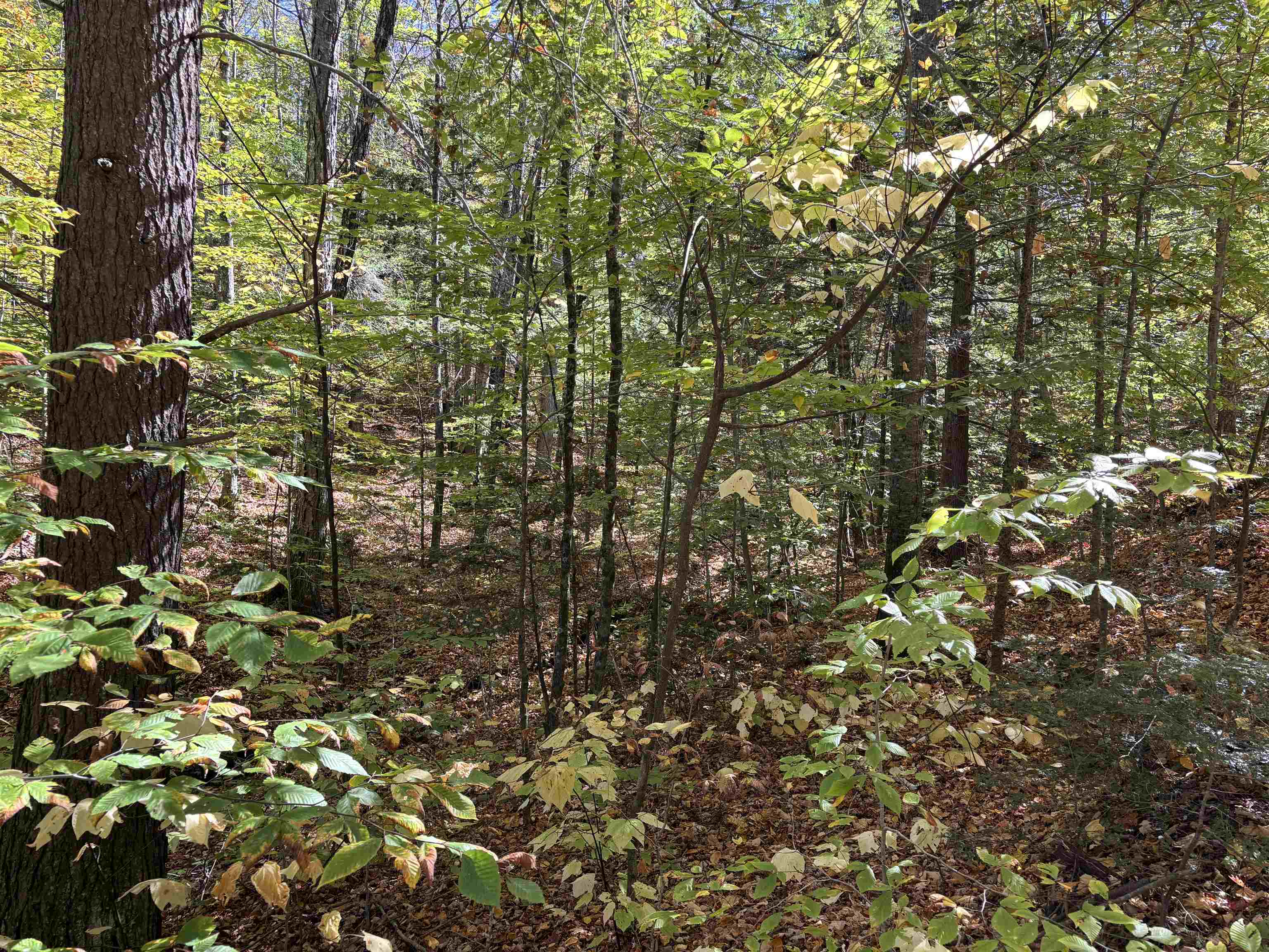 0 Quarry Road Chester, VT 05143 - Photo 23 of 25