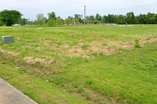 $15,900 | 0 Rushing Drive, Metropolis, IL 62960