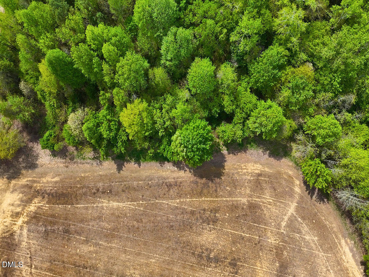 0 Mamie Road Wilson, NC 27893 - Photo 16 of 29 16.