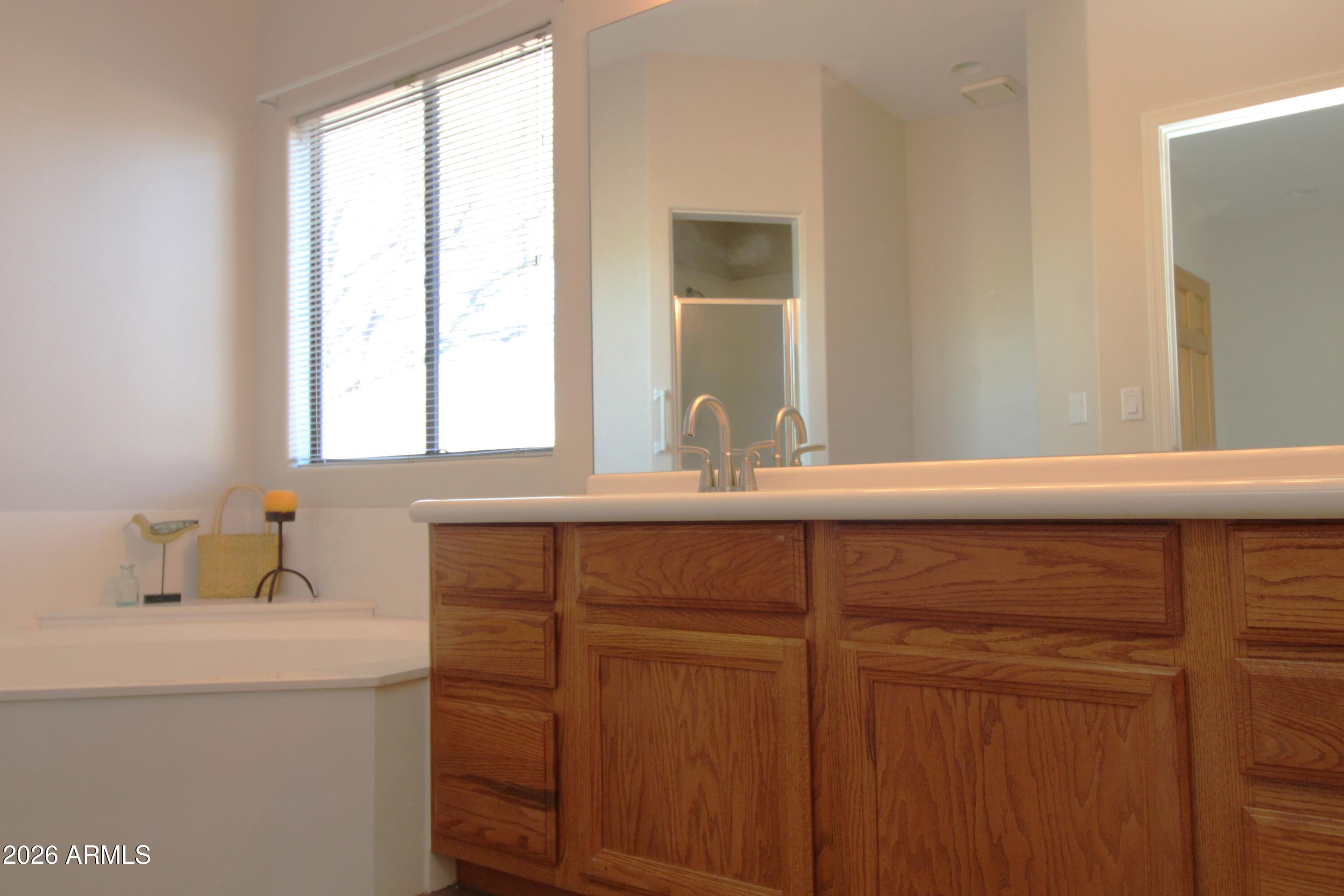 1405 East Circle Mountain Road New River, AZ 85087 - Photo 23 of 40 a bathroom with a sink and a window
