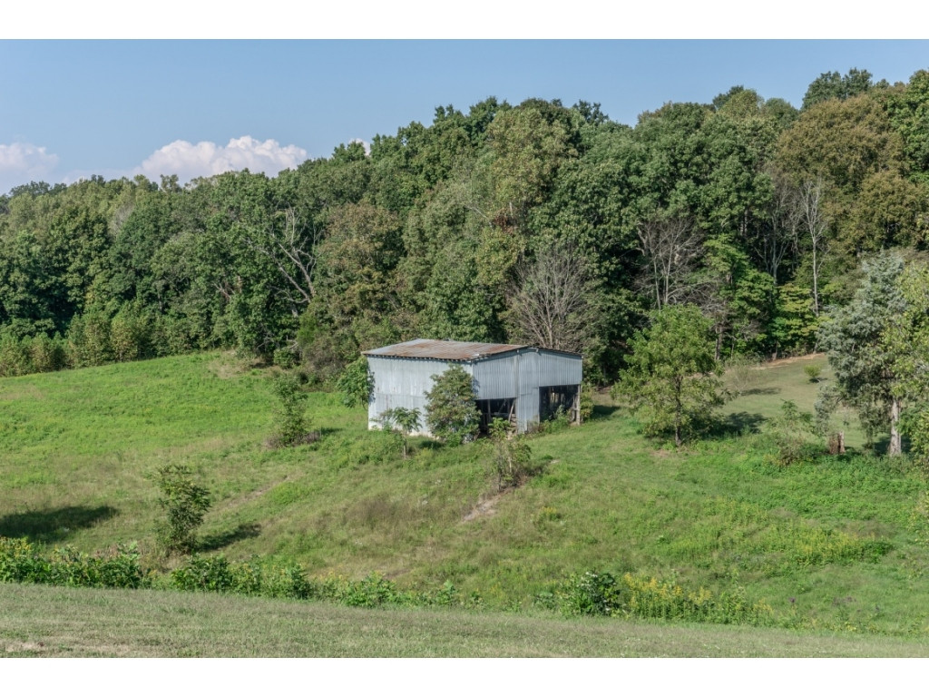 790 Earl Baxter Road Chuckey, TN 37641 - Photo 3 of 24 Photo 3