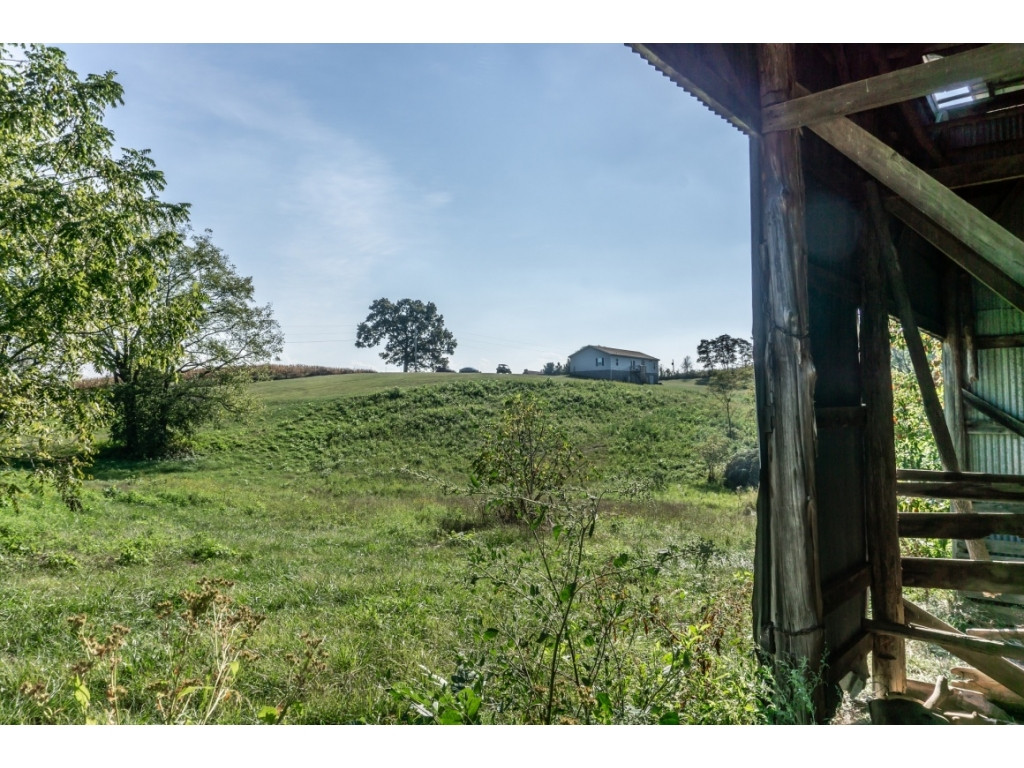 790 Earl Baxter Road Chuckey, TN 37641 - Photo 6 of 24 Photo 6