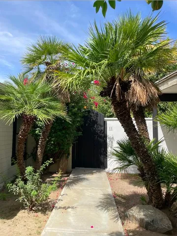 a plant that is in front of a house