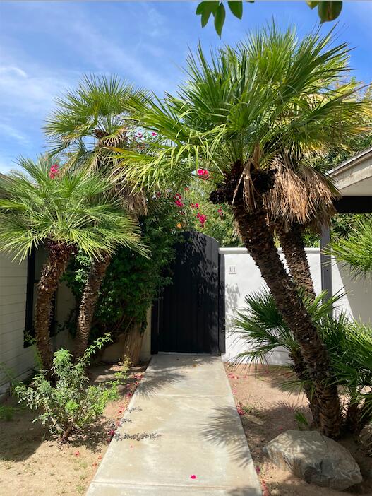 a plant that is in front of a house