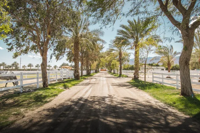 a view of a yard with plants and trees