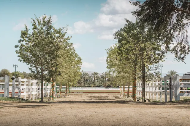 a view of a building with large trees