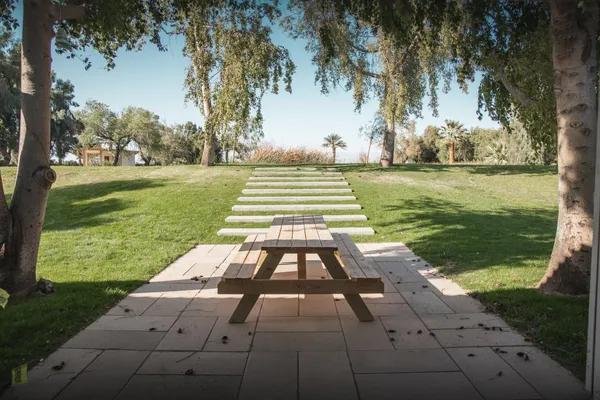 a view of a yard with plants